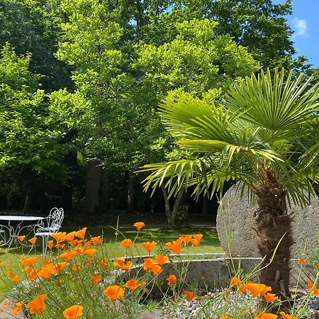ホテル Manoir Du Parc (Adults Only) アンボワーズ エクステリア 写真