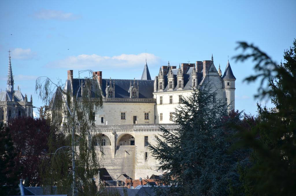 ホテル Manoir Du Parc (Adults Only) アンボワーズ エクステリア 写真