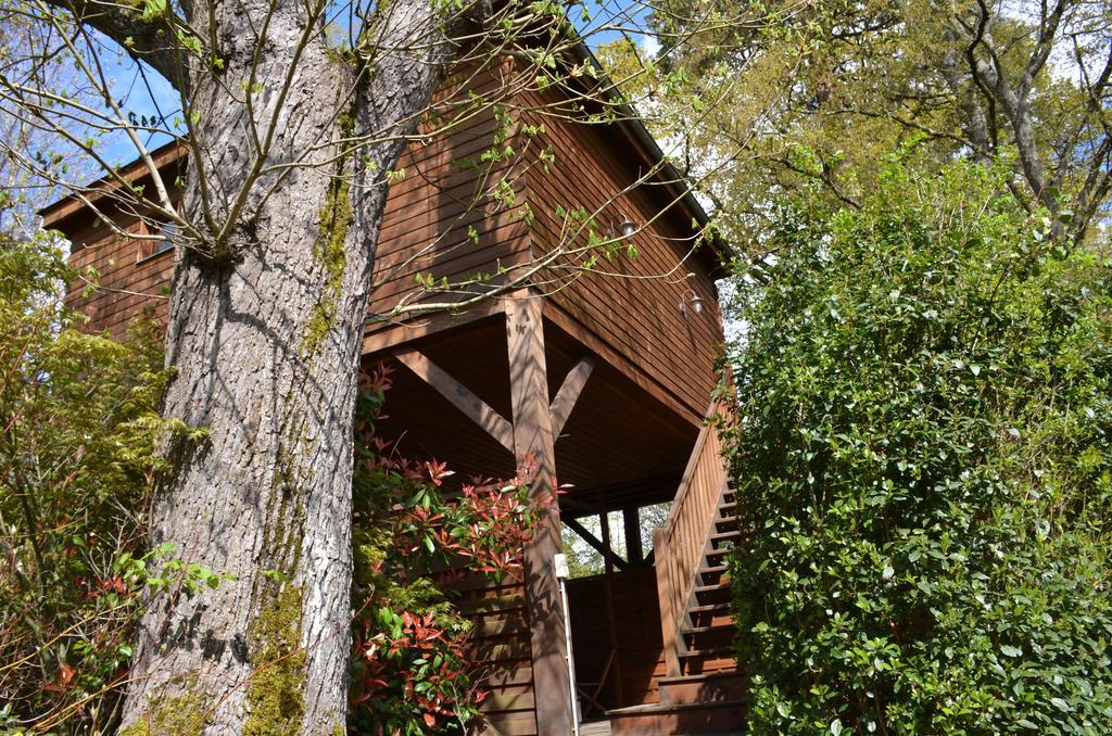 ホテル Manoir Du Parc (Adults Only) アンボワーズ エクステリア 写真