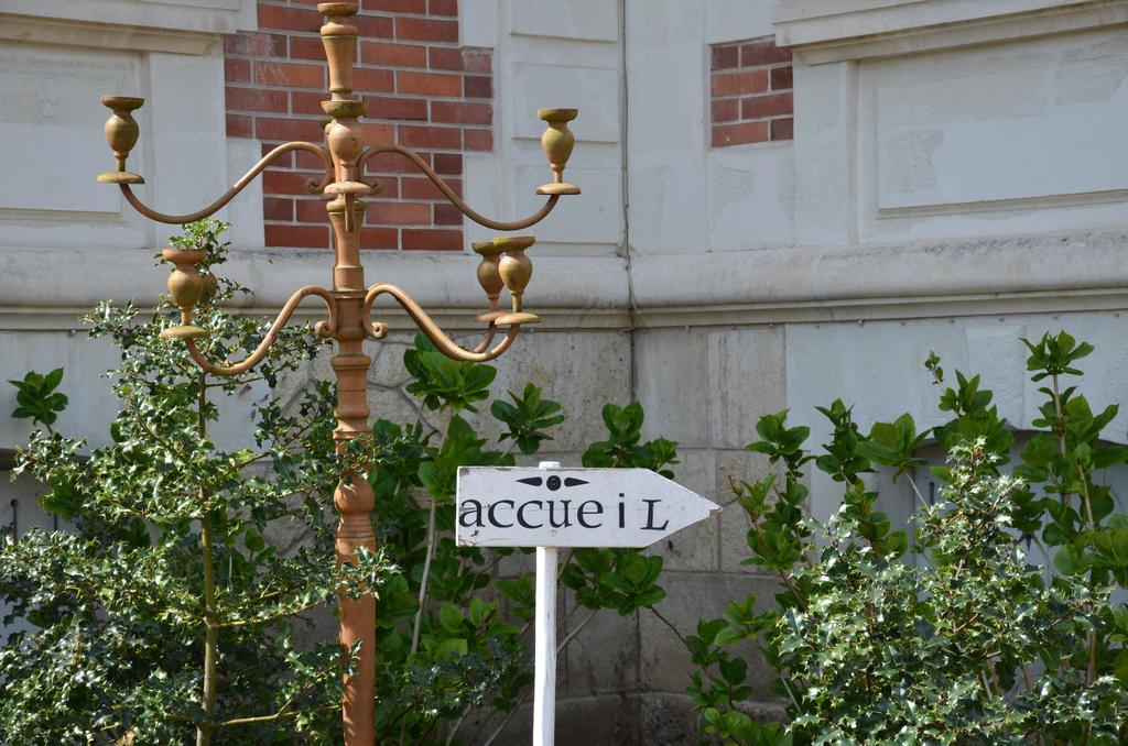 ホテル Manoir Du Parc (Adults Only) アンボワーズ エクステリア 写真