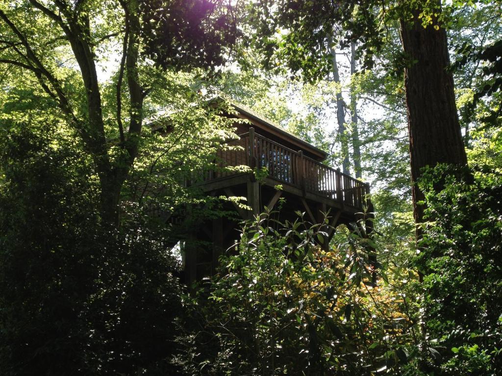 ホテル Manoir Du Parc (Adults Only) アンボワーズ 部屋 写真